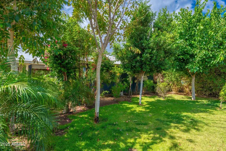 Landscaping designed to keep home cool