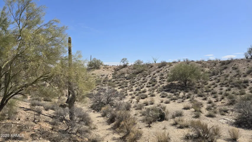 780