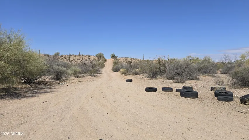 780