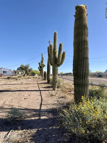 780