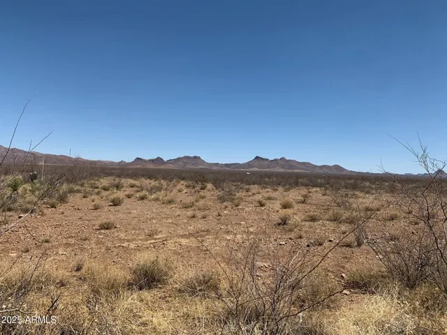 780