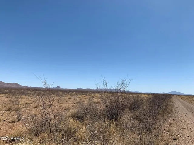 780