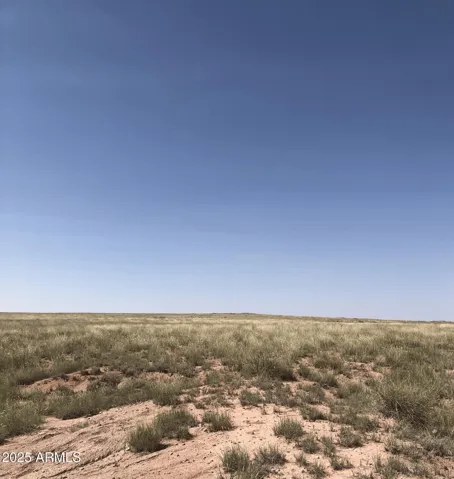 780