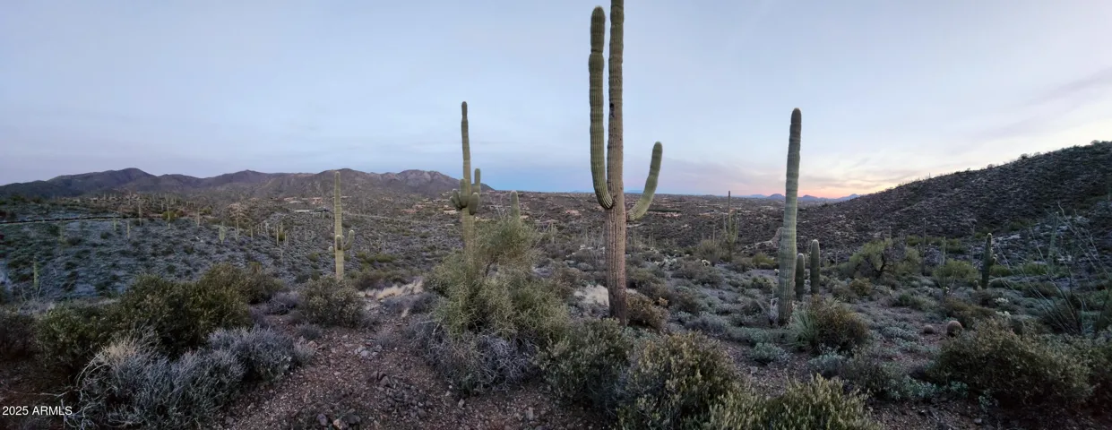 780