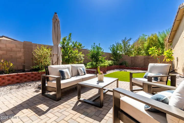 back yard