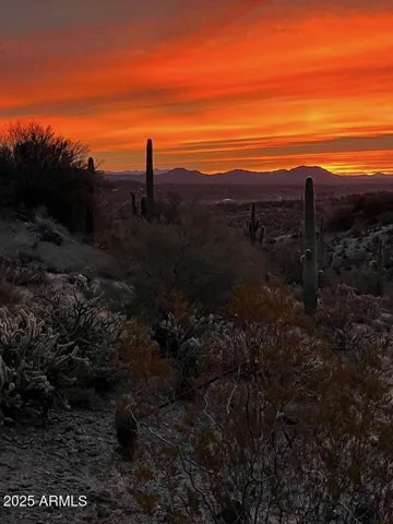 780