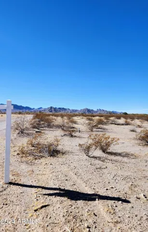 780