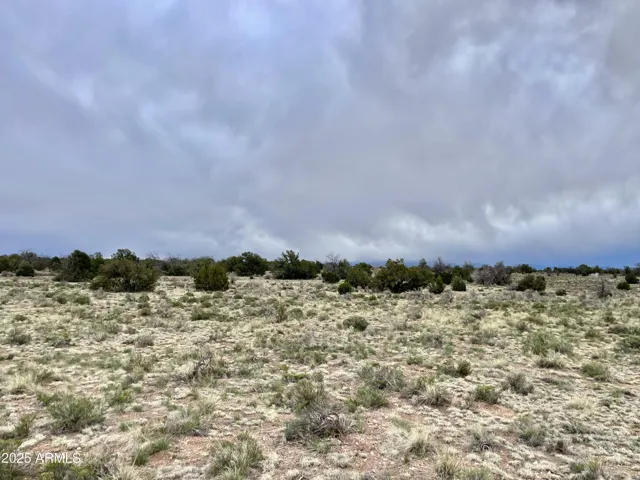 780