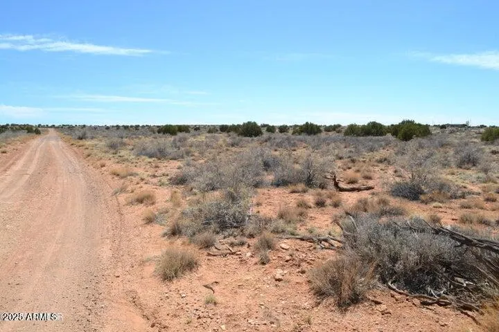 780