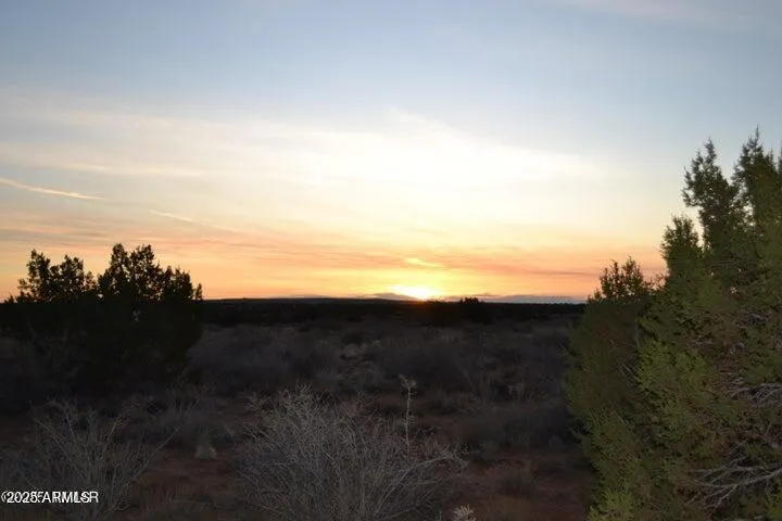 780