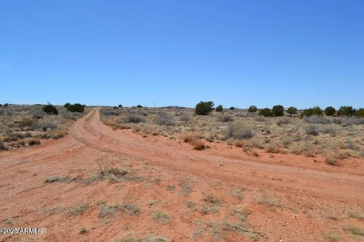 780
