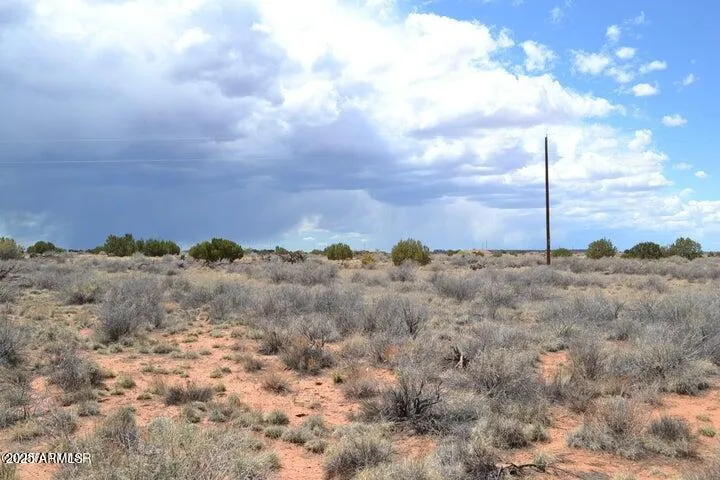 780