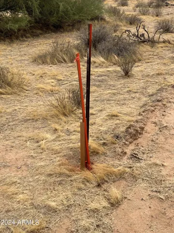 780