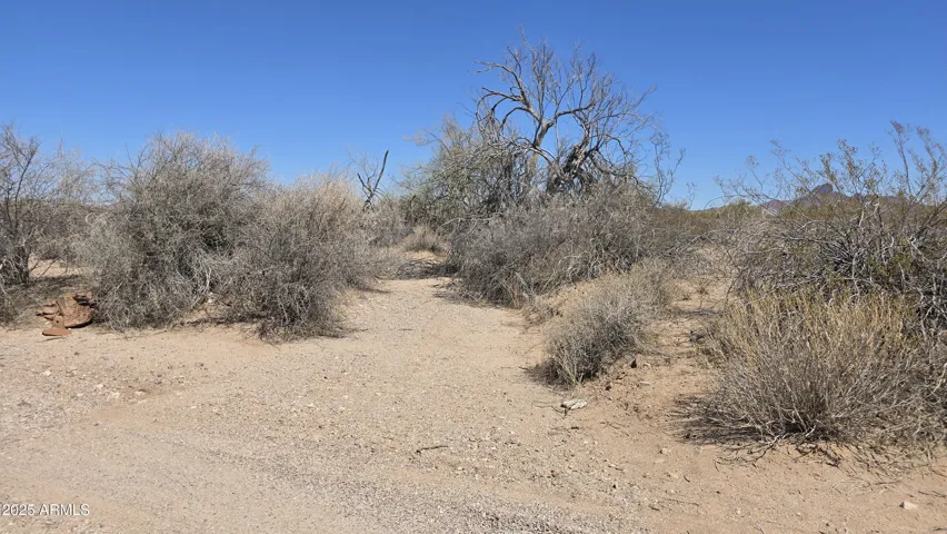 780