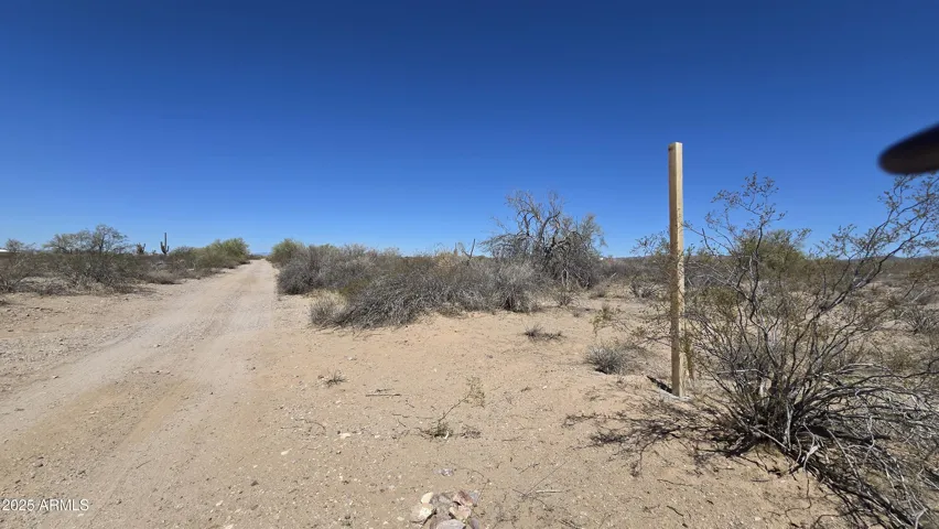 780