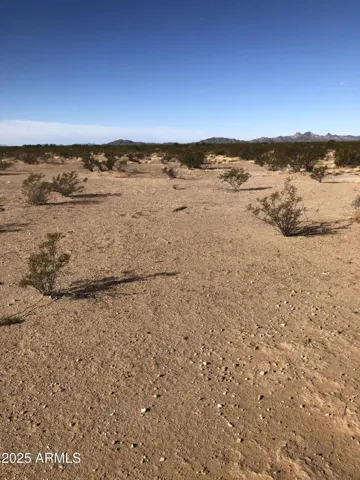 780