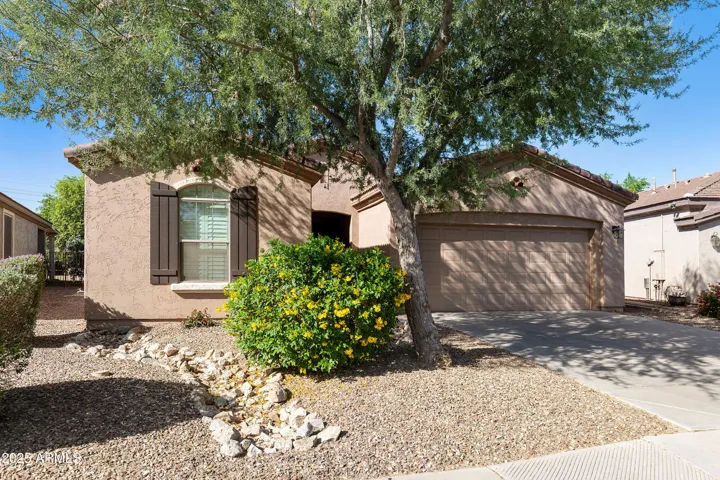 4245 E Ficus  Way, Gilbert, AZ 85298