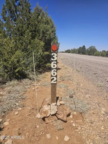 780