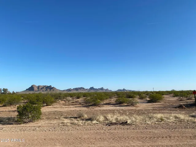 780