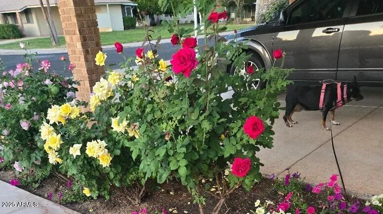 780