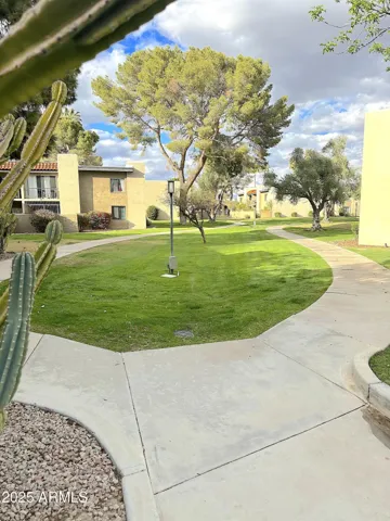 780