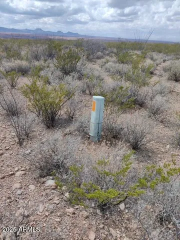 780