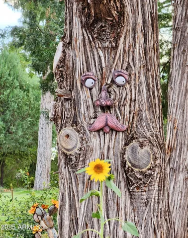 780