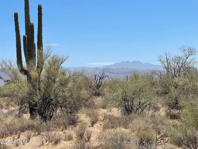 780
