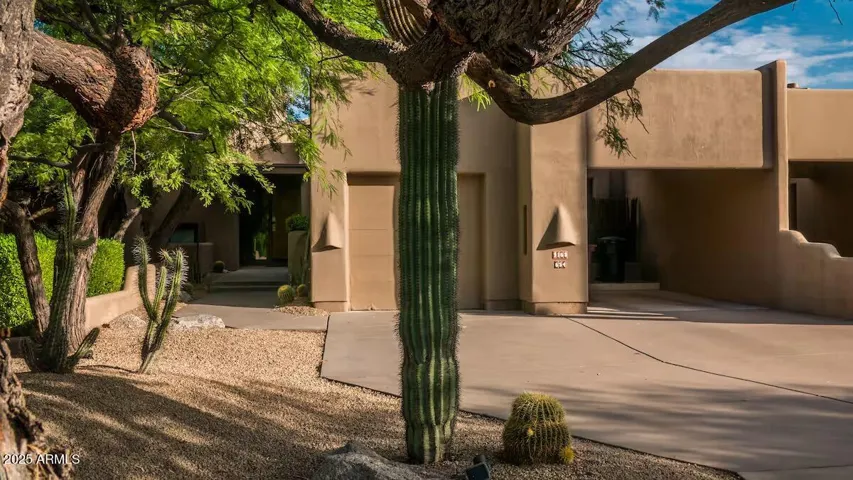 780