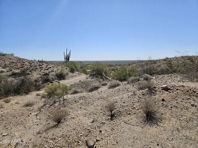 780