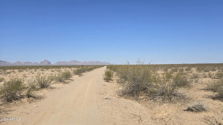 780