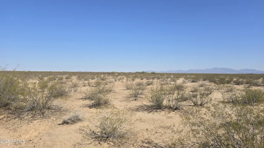 780
