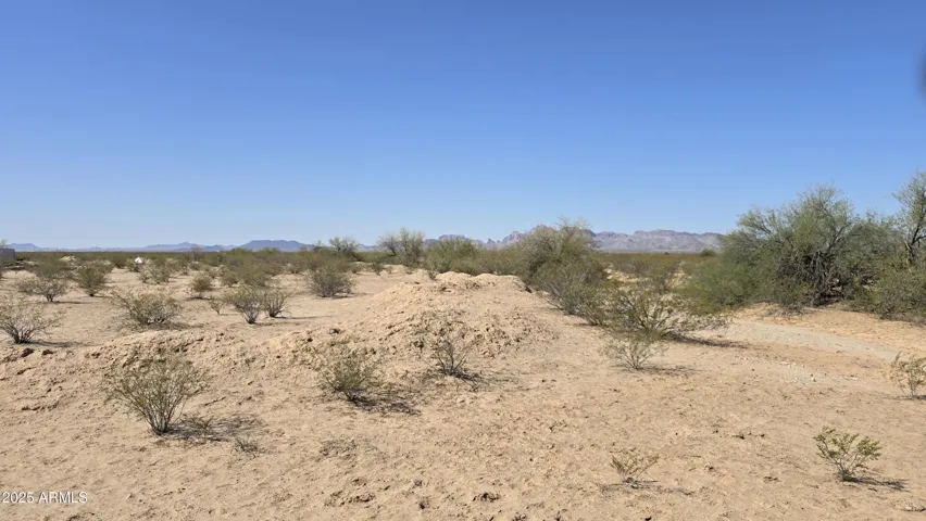 780