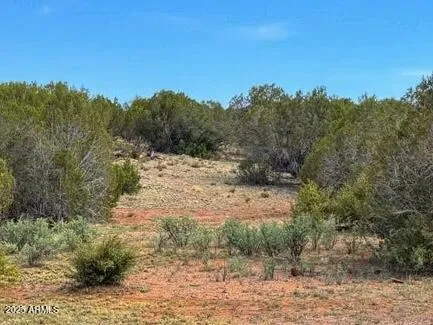 780