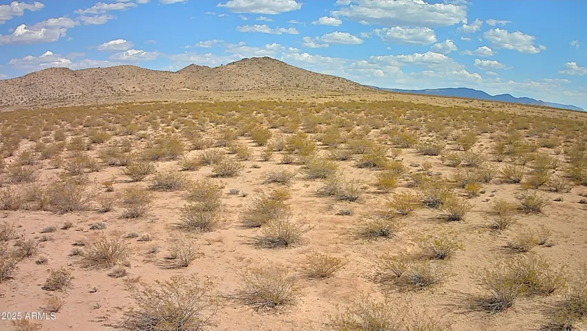 780