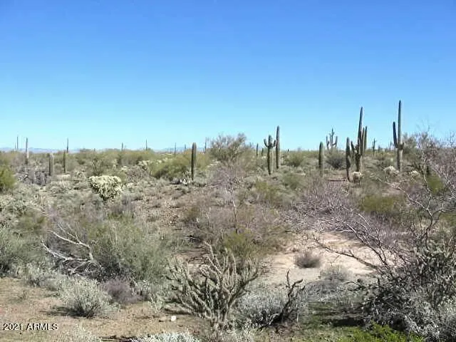 780