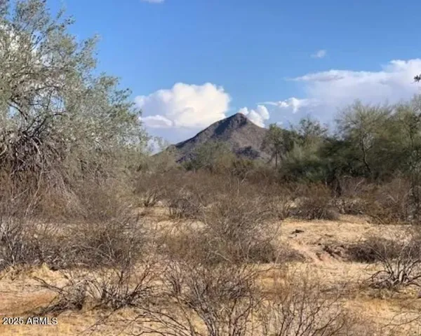 780