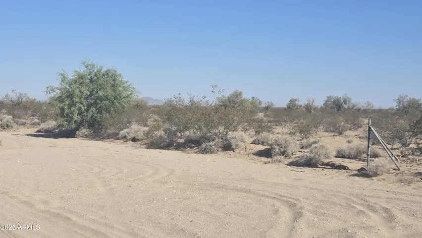 780