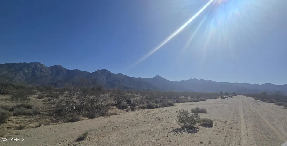 780