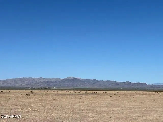 780