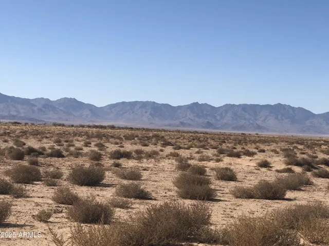 780