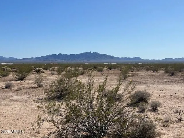 780