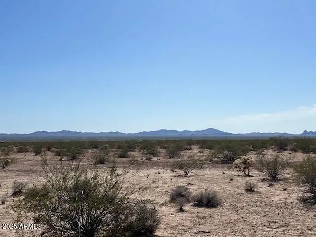 780