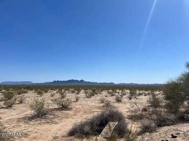 780