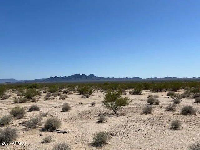 780