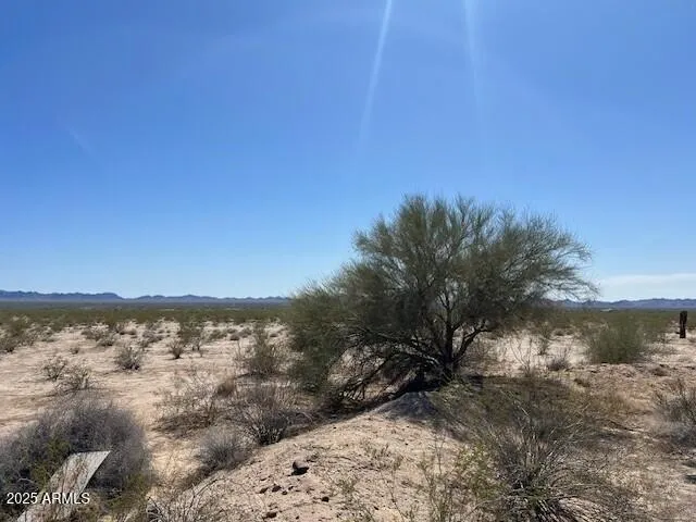 780