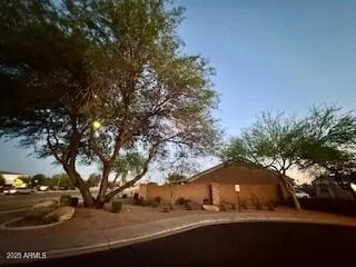 780
