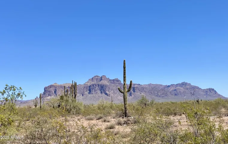 780