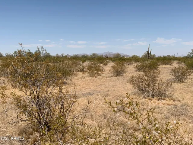 780