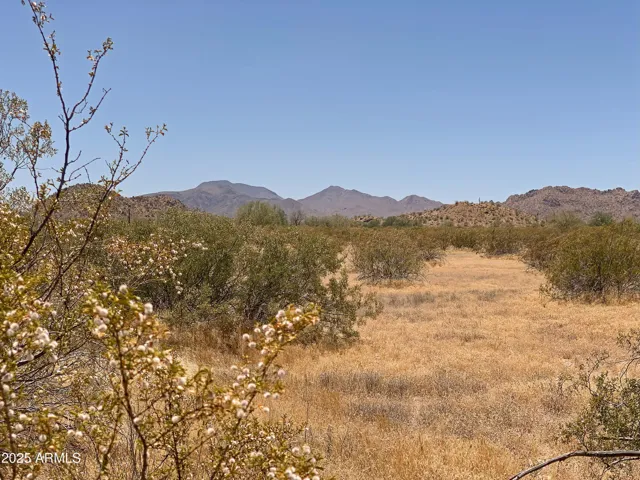 780